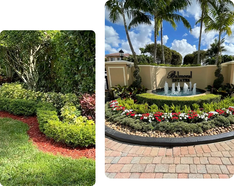 A garden with a fountain and bushes in the background.